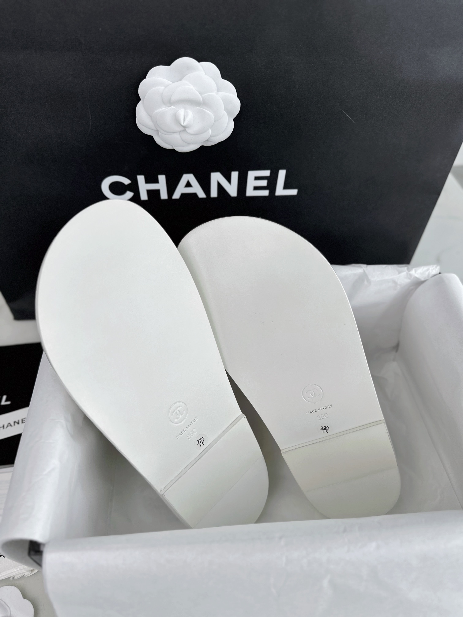 داد ساندالس