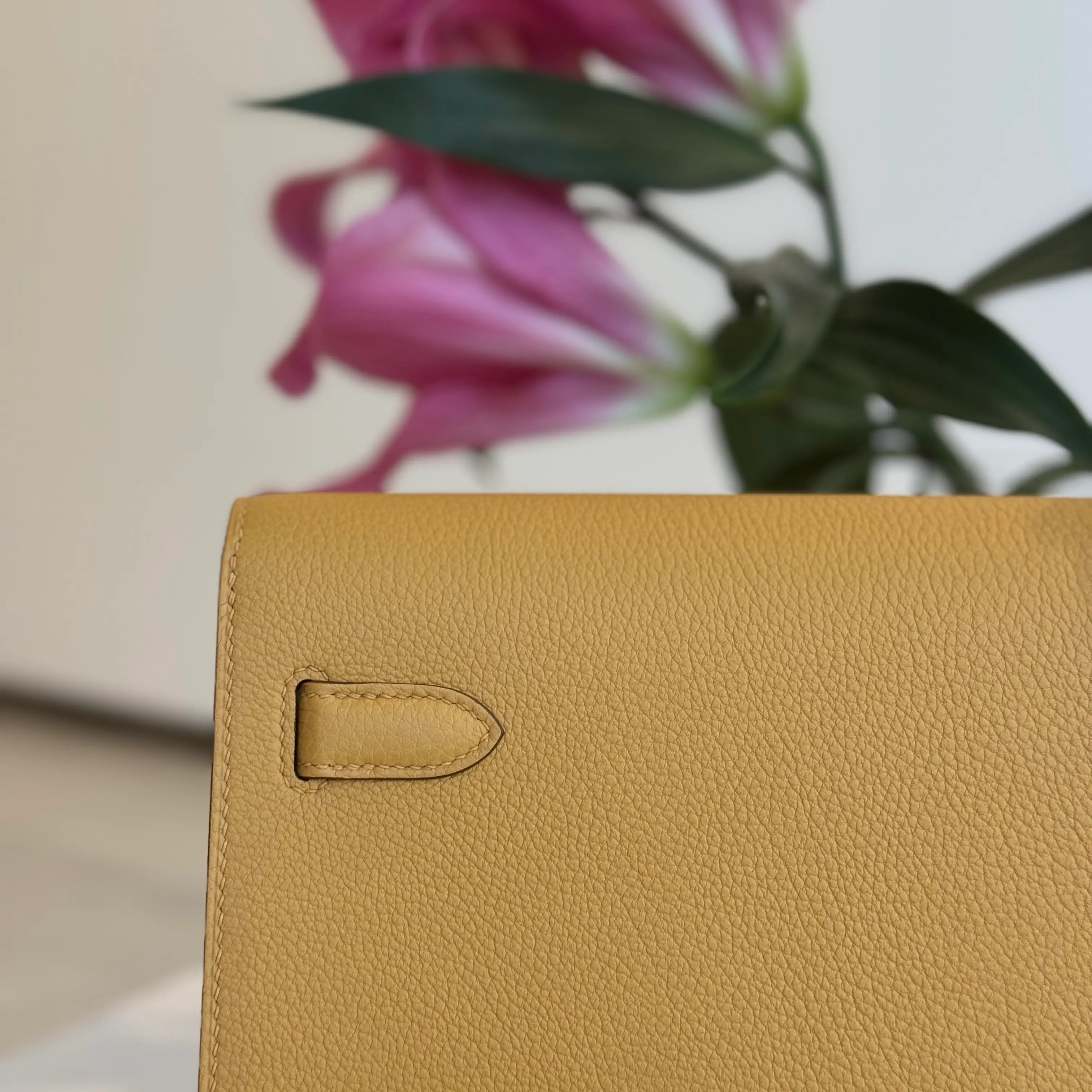 كيلي ديبيش ٢٥ بوش / ٤ب - Image 5