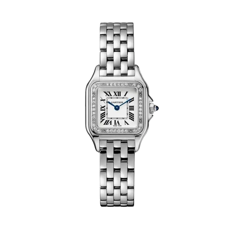 22mm سمول بانثر