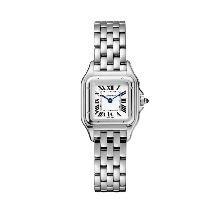 22mm سمول بانثر