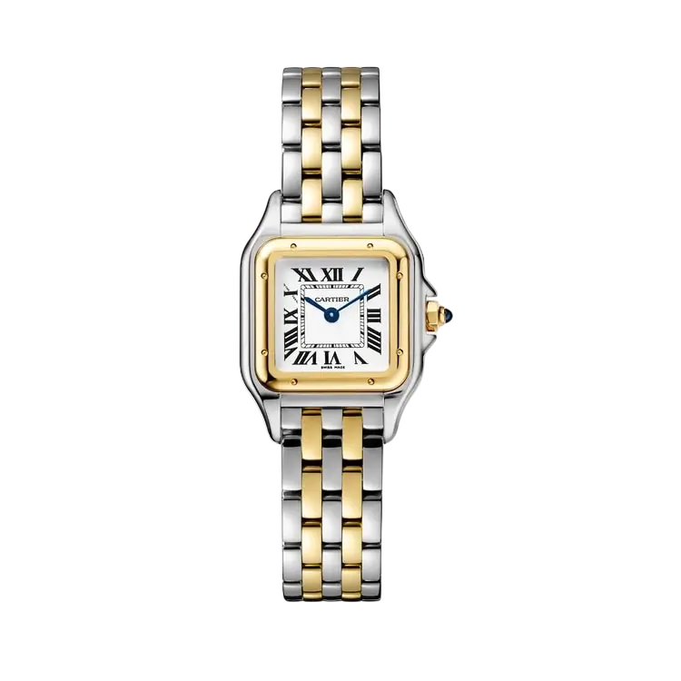 22mm سمول بانثر