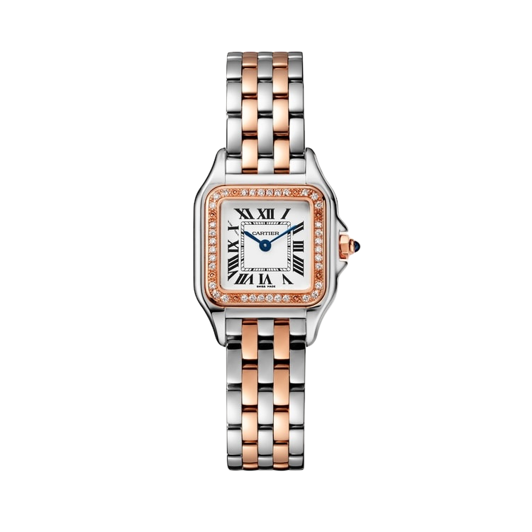 22mm سمول بانثر