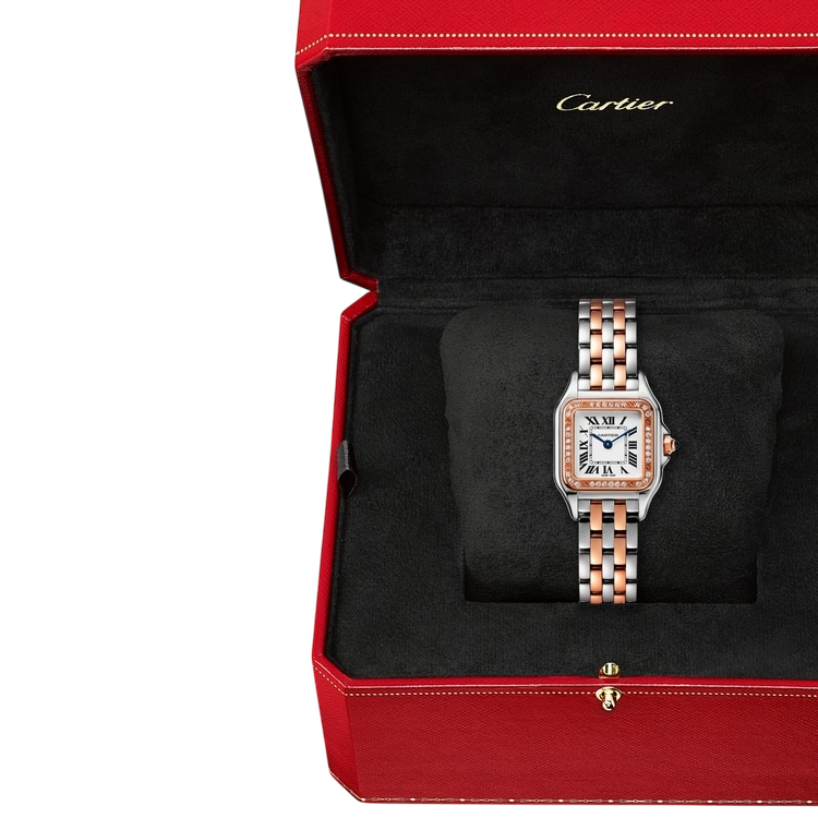 22mm سمول بانثر