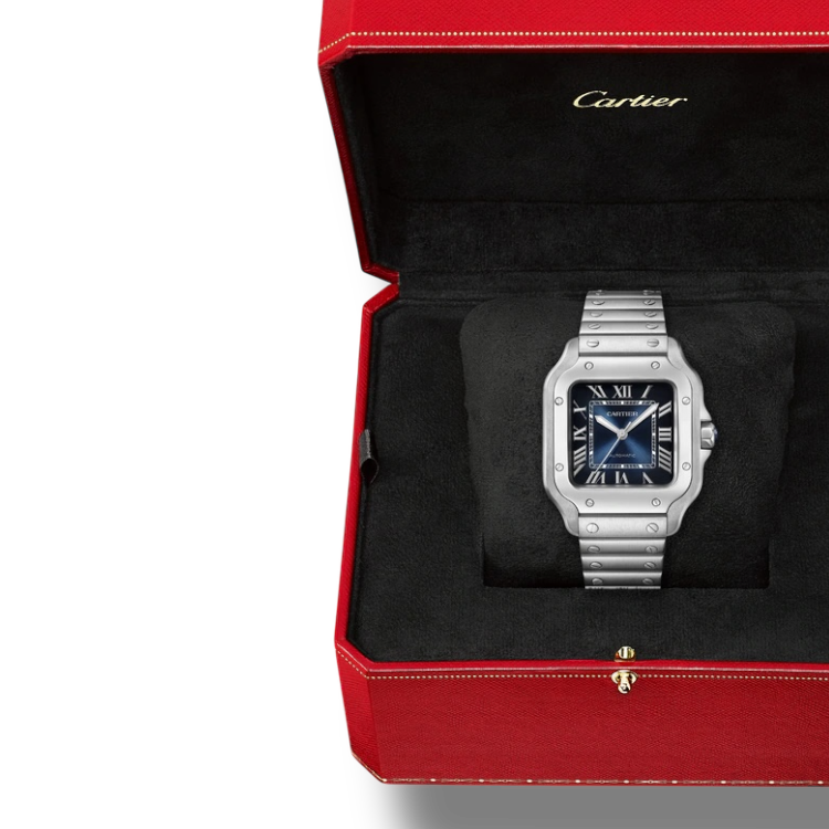 36mm ميديم سانتوس